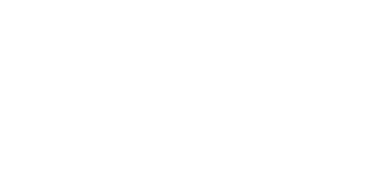 様々なターゲットにお店の情報を的確に届ける！ Shufoo!があるので店舗集客に強い ネットからリアル店舗へ送客 デジタルを活用した効果の高い集客